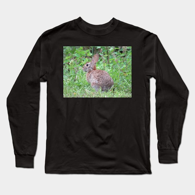 Mr. Rabbit Long Sleeve T-Shirt by ToniaDelozier